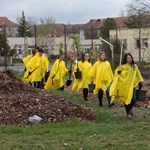 Csokor helyett gyümölcsfa: megvan az év legjobb ballagási kezdeményezése?