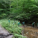Van olyan pedagógus, akinek ingyen kellene táboroztatnia a Balatonnál