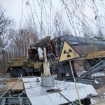 Traces of the Chernobyl nuclear accident are still to be found in German forest fungi