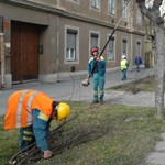 Egyetemi diplomával utcaseprőként dolgoznak