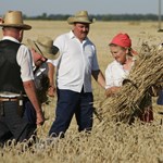 Minden ötödik felnőtt még az általános iskolát sem végezte el Szerbiában