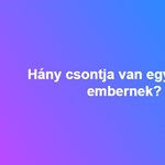 Hány csontja van egy felnőtt embernek?