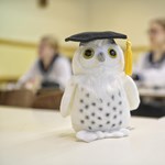 Középszintű biológiaérettségi: ezt a feladatsort kellett a diákoknak megoldaniuk