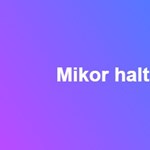 Mikor halt meg I. Ulászló? 