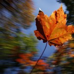 Műveltségi teszt: mennyire ismeritek az őszi népszokásokat?