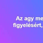 Az agy melyik része felel a figyelésért, gondolkozásért?