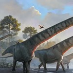 Napi tudomány: 100 millió évvel ezelőtt élt, 37 méter magas dinoszaurusz-csontvázat állítottak ki a londoni természettudományi múzeumban