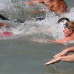 Rasszista plakáttal riogatják a strandoló gyerekeket