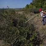 Újabb szigorítás: több tízezer forintot bukhatnak a lógós diákok szülei