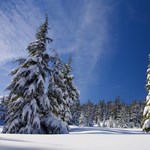 Vicces műveltségi teszt: tudjátok, hogy város vagy zenész?