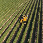 Friss felsőoktatási rangsor: ezek a legjobb agrárképzések