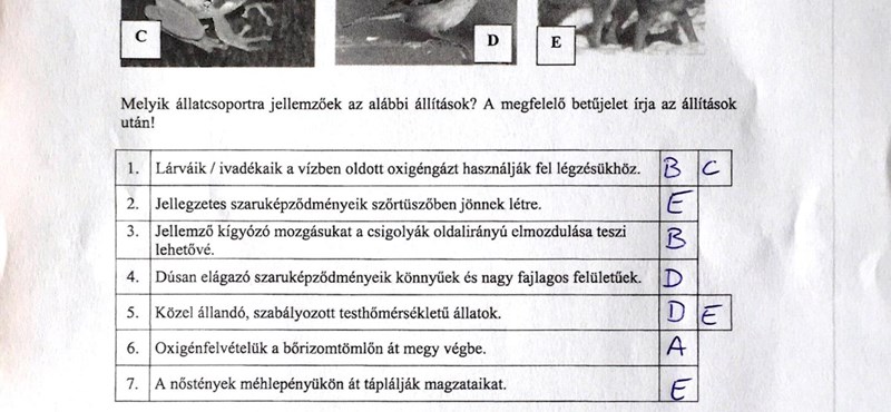 Nektek megy a fotoszintézis? Itt vannak a biológia megoldásai