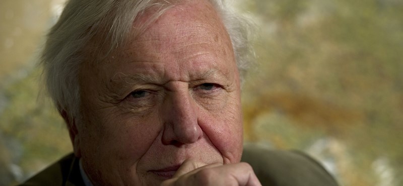 90 éve Sir David Attenborough, a természetfilmek legendás alakja