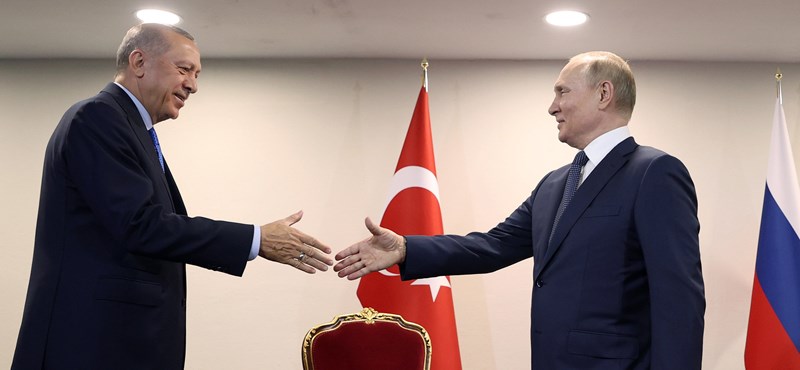 Putin y Erdogan pasean su brazo en video