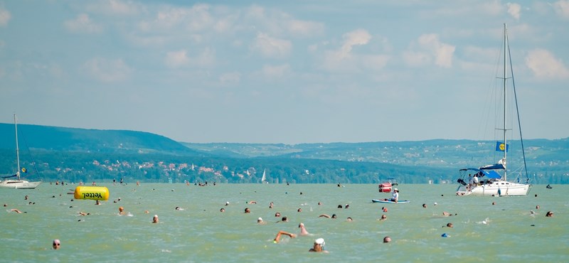 Aggasztóan gyorsan melegszik a Balaton vize, ami súlyos ökológiai következményekkel járhat