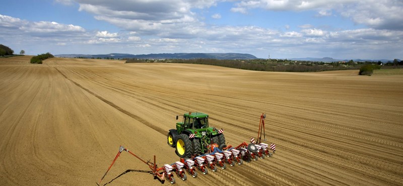 2012-es egyetemi rangsor: az ország legjobb agrárkarai