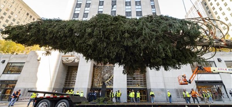 Pictures of the 12-ton pine tree came in front of the Rockefeller Center