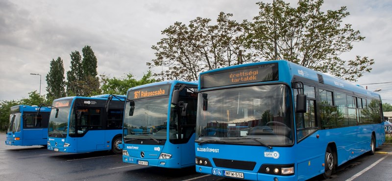 Ezt érdemes tudnotok, ha iskolaváltás miatt új diákigazolványt igényeltek 