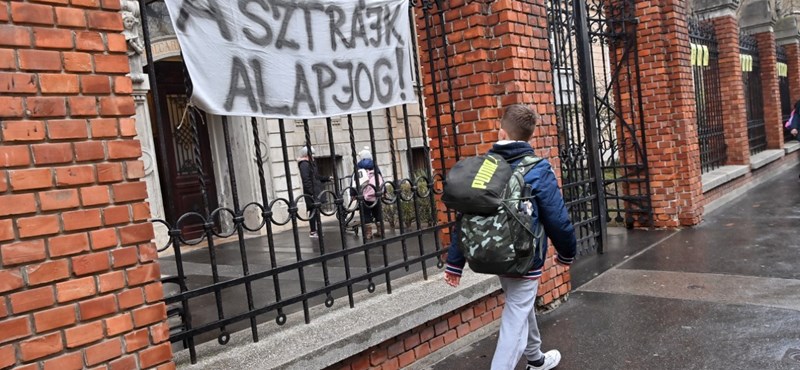 Fizetésük egy részét a sztrájkoló tanároknak adják a tudományos dolgozók