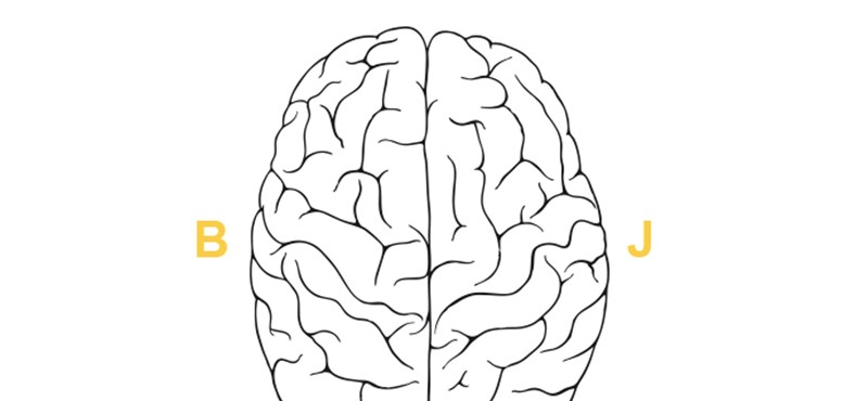 Félperces, zseniális teszt: melyik agyféltekéd a domináns?