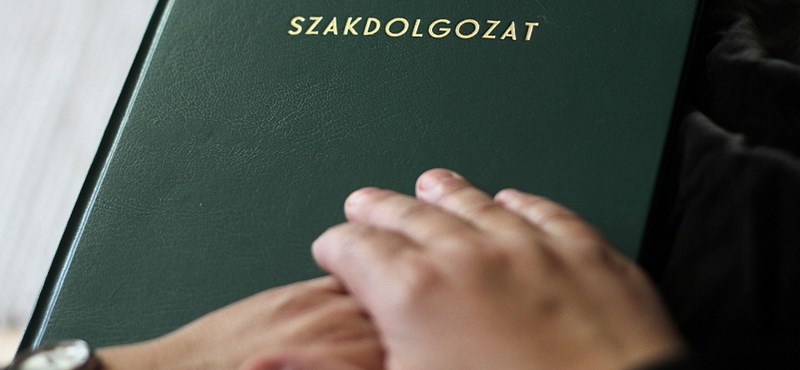 Mégsem plagizált a német frakcióvezető