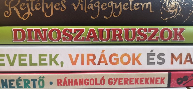 Mit vegyünk a gyereknek karácsonyra? Négy könyv, aminek szinte biztosan örülni fog