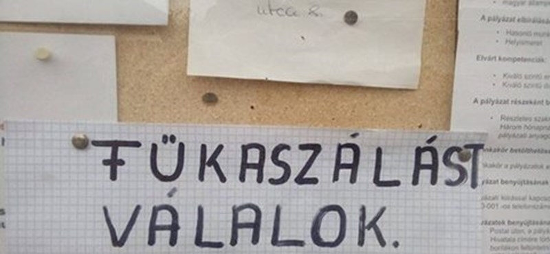 Kétperces helyesírási teszt estére: kifognak rajtatok ezek a szavak?