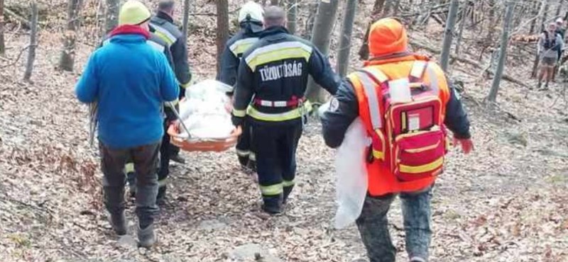 Lezuhant egy kiskamasz a meredek hegyoldalon Mátraházánál