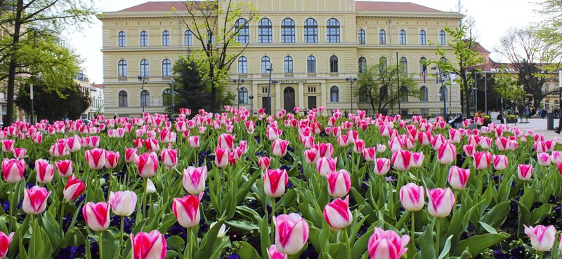 Középiskolásoknak indít alapozó képzéseket a szegedi egyetem