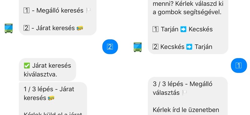 Két középiskolás srác applikációját ünnepli Szeged