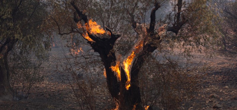 It is very hot in Greece, despite the tourist season, the attractions are closed