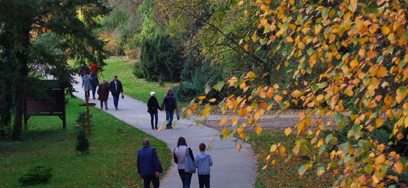 Megvan, mikor kezdődik a 2021-es őszi szünet