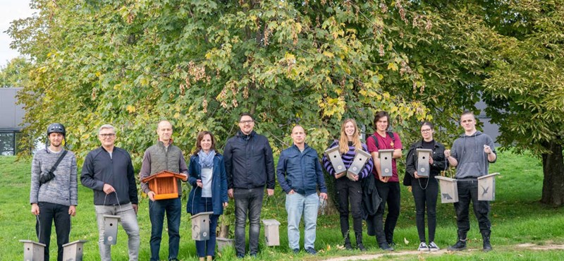 Hallgatók által készített madárodúkat helyeztek ki a Pécsi Egyetem parkjában