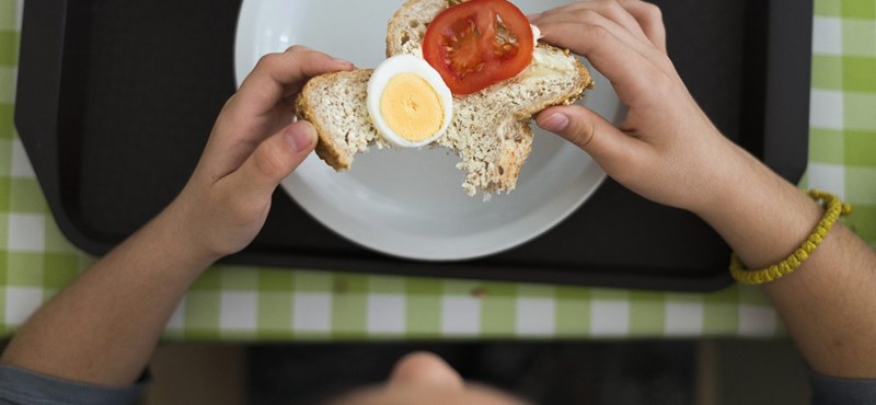 A helyes étkezésért a vízfogyasztást népszerűsítik a gyerekeknél