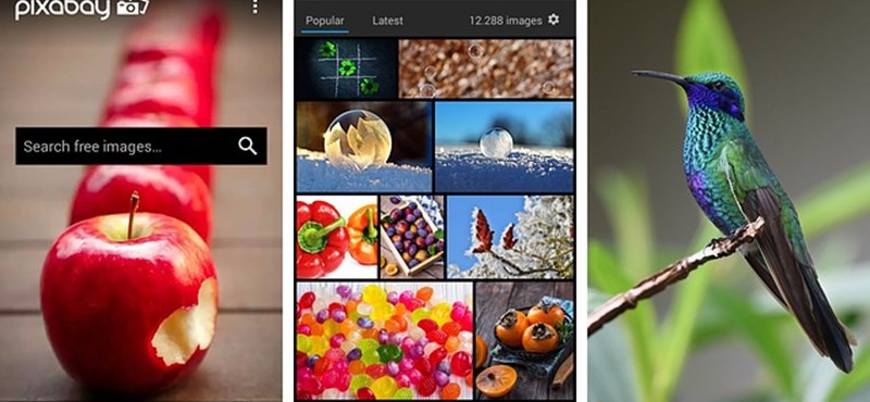 Újabb szuper oldalt mutatunk: 860 ezer ingyenes fotó közül választhattok