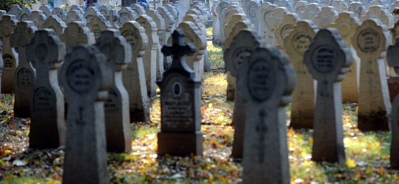 II. világháborús hősi halottak maradványaira bukkantak Apagyon