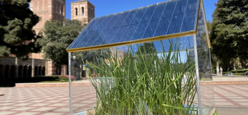 Szerves anyagokból készítettek napelemeket kutatók, üvegházakra rakva még a növények is jobban nőnek alattuk