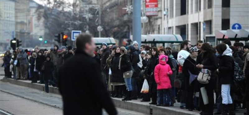 Államvizsga tétel lett a botrányok miatt a BKV