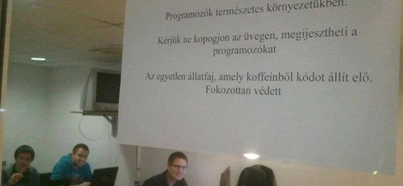 Meglepő felirat várja az egyetemistákat a BME-n - fotó