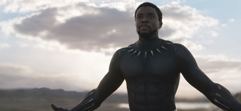 Ösztöndíjat alapítottak volt egyetemén Chadwick Boseman nevével