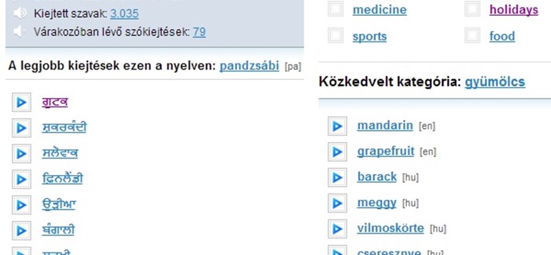 Így gyakorolhattok a szóbeli nyelvvizsgára otthonról, teljesen ingyen