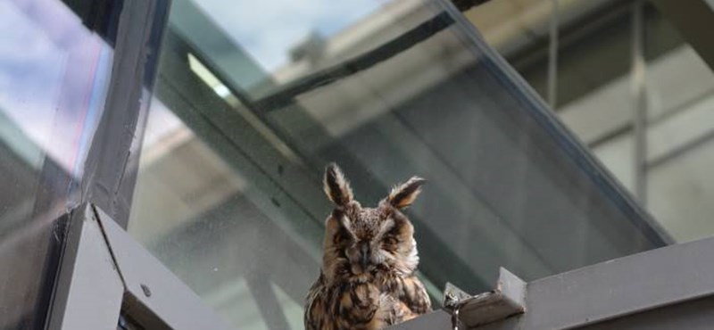 A nap képe: meghökkentő látvány várta az egyetemistákat