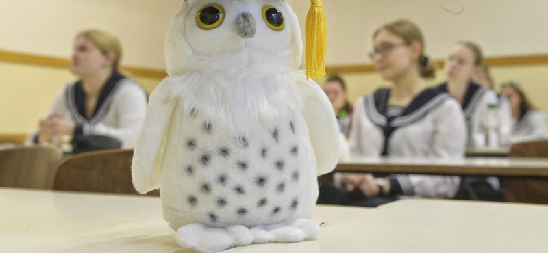 Mikor kezdődnek és meddig tartanak a középszintű szóbeli érettségik?