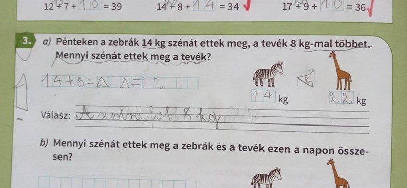 Egy hibás feladaton teljesen szétcsúszott egy kisdiák