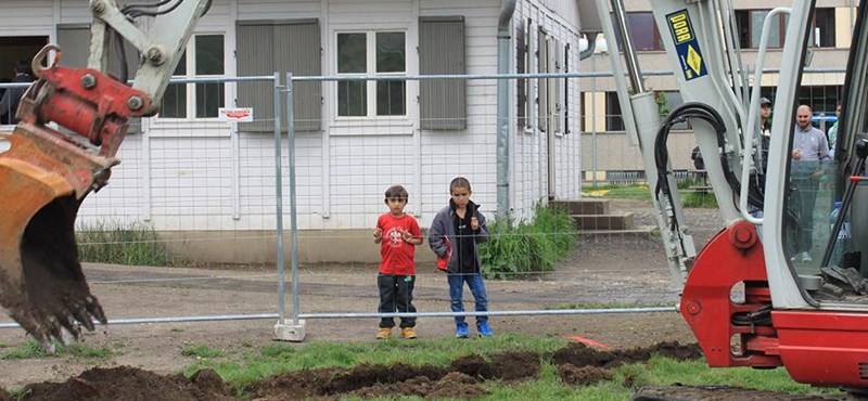 A világ egyik legjobb egyeteme segítene a menekülteken