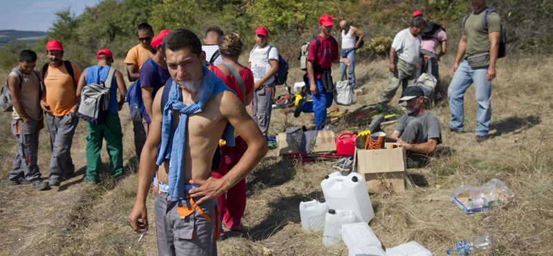 A tankötelezettség csökkentése óta 187-szer több a fiatalkorú közmunkás