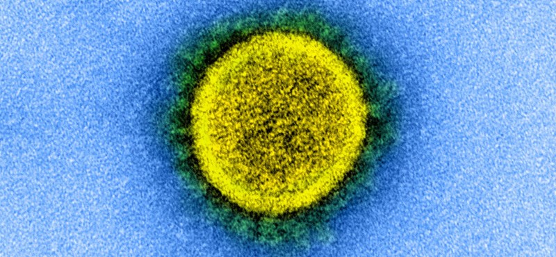¿De dónde vendrá el próximo coronavirus?  ¿Cómo nos preparamos para ello?
