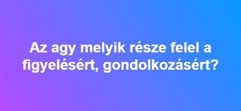 Az agy melyik része felel a figyelésért, gondolkozásért?