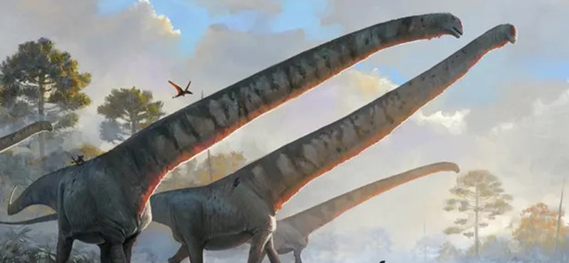 Napi tudomány: 100 millió évvel ezelőtt élt, 37 méter magas dinoszaurusz-csontvázat állítottak ki a londoni természettudományi múzeumban