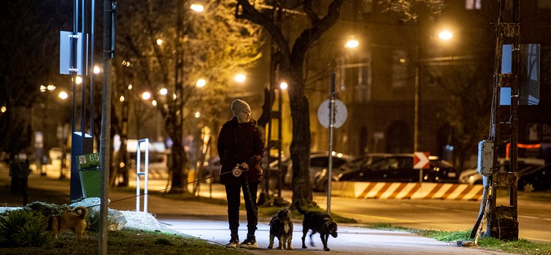 Olyat derítettek ki az ELTE kutatói, ami megváltoztathatja a kapcsolatunkat a kutyánkkal